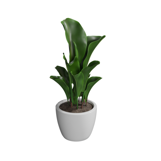 Plant Pot