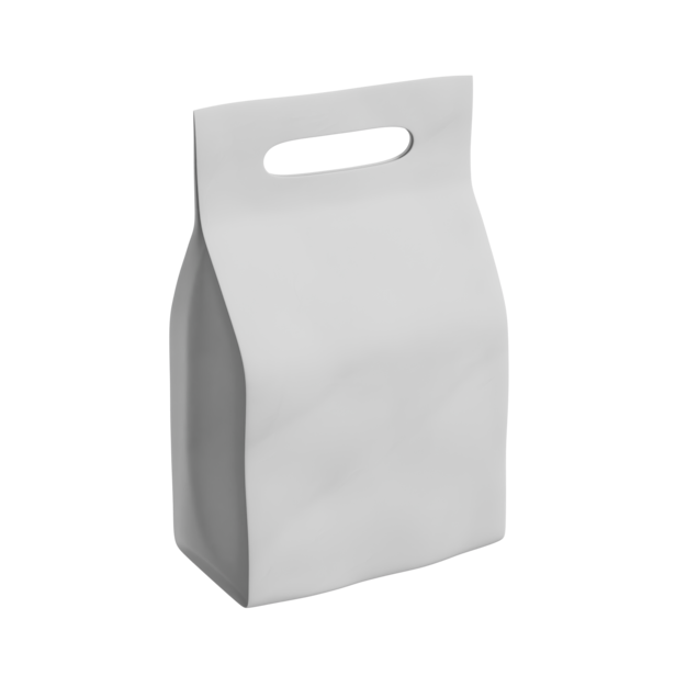 Paper Bag