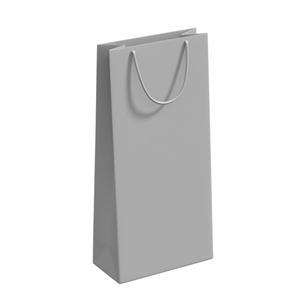 Gift Bag With Handle