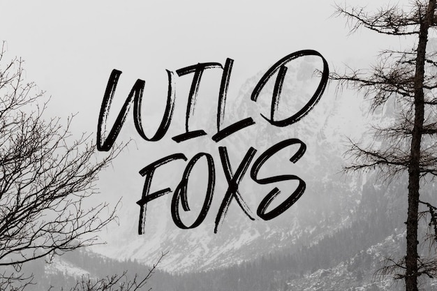 Wild Foxs