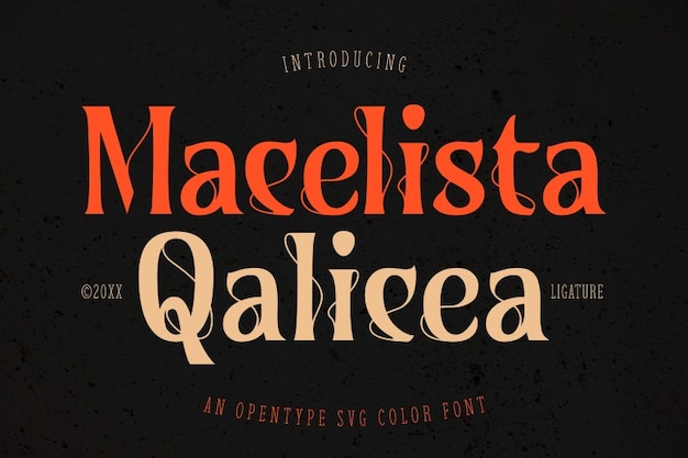 Macelista Qalicea