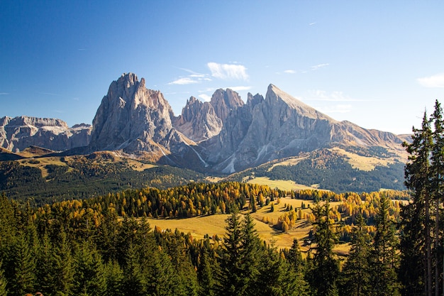 Free Photo beautiful shot of grassy hills covered in trees near mountains in dolomites italy