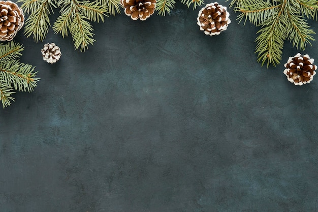 Free Photo copy space pine needles and cones