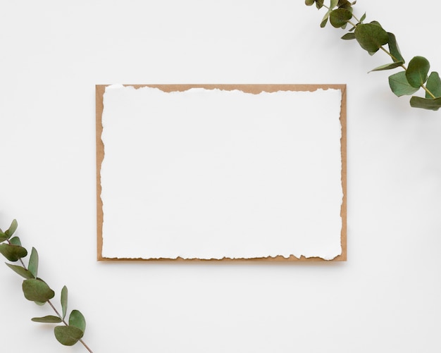 Free Photo empty wedding invitation with plants