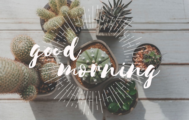 Free Photo good morning word with cactus background.