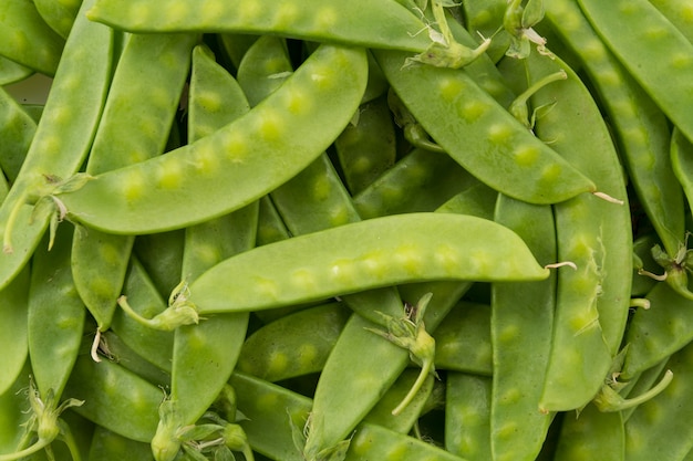 Free Photo green bean