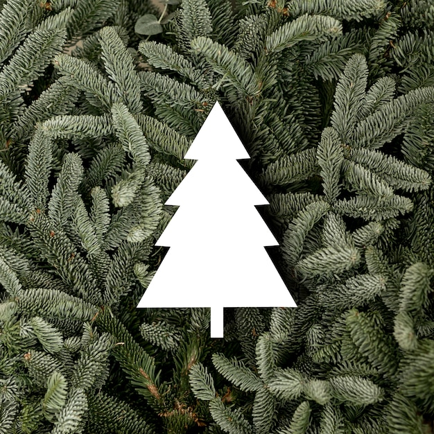 Free Photo top view fir tree shape and twigs