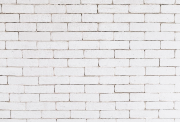 Free Photo white wall background