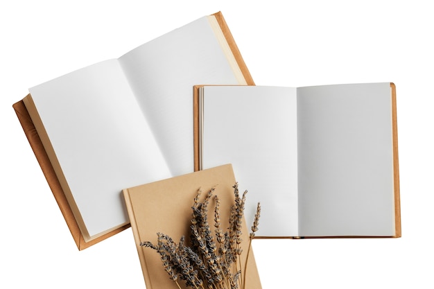 Free PSD books pile isolated