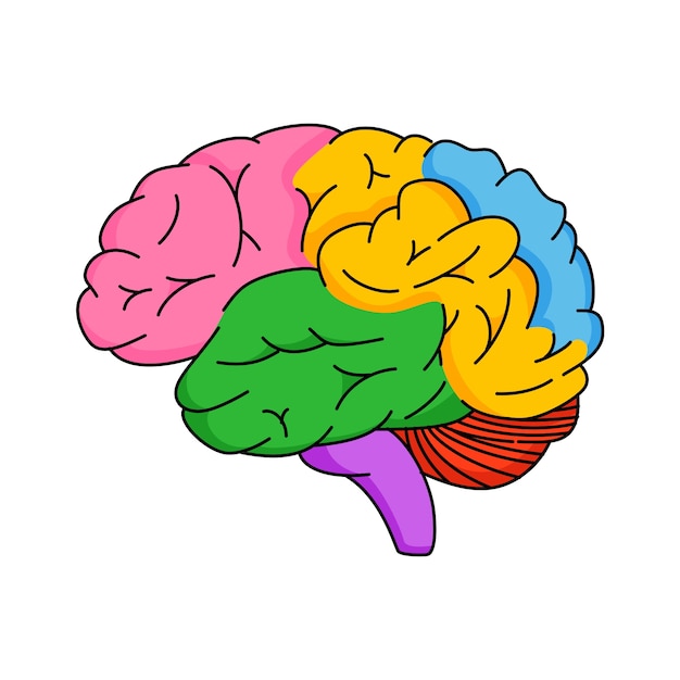 Free PSD brain outline illustration