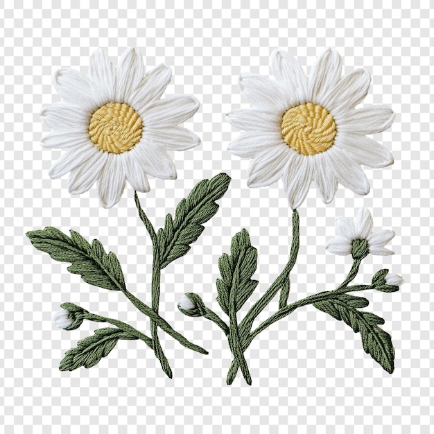 Free PSD elegant embroidery two daisies in bloom