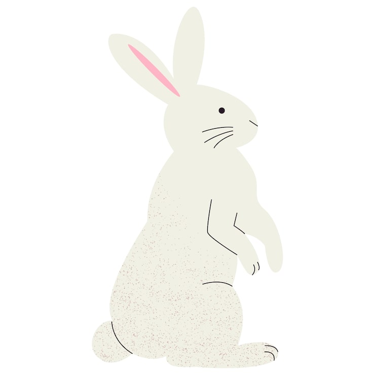 Free PSD mid autumn collection