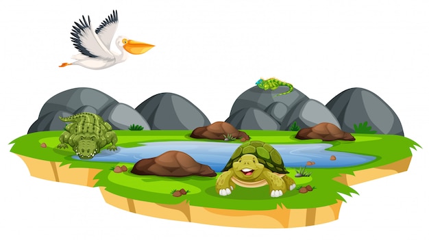 Free Vector animal in the nature