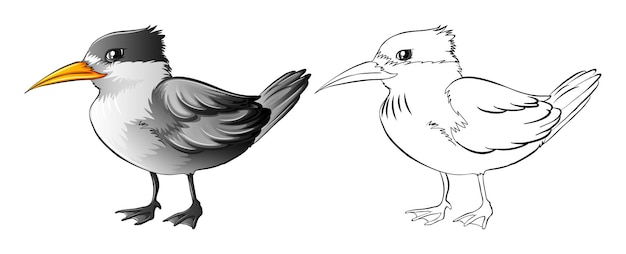 Free Vector animal outline for wild bird