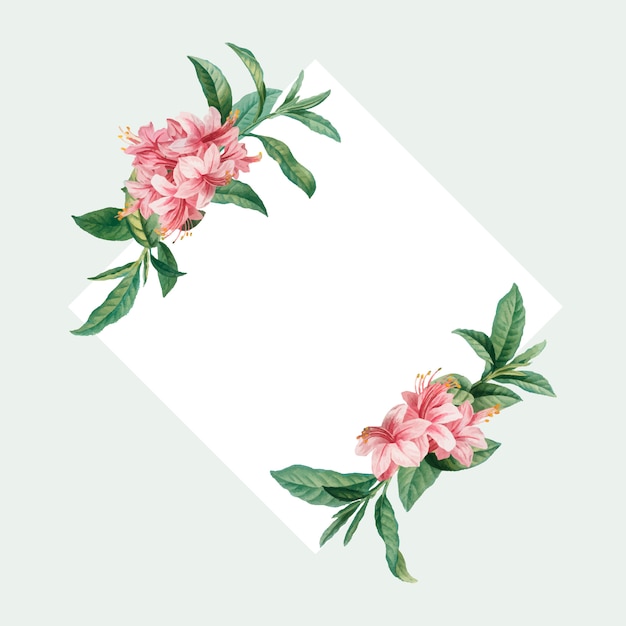 Free Vector azalea framed card