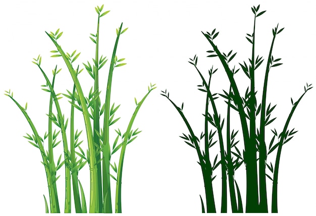 Free Vector bamboo trees in green 