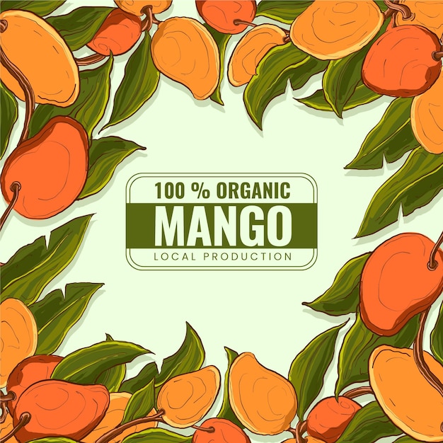 Free Vector botanical mango tree illustration