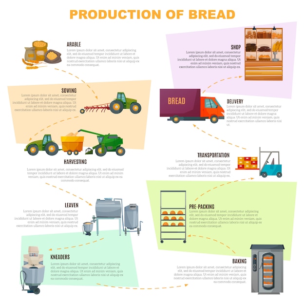 Free Vector bread production stages infographics