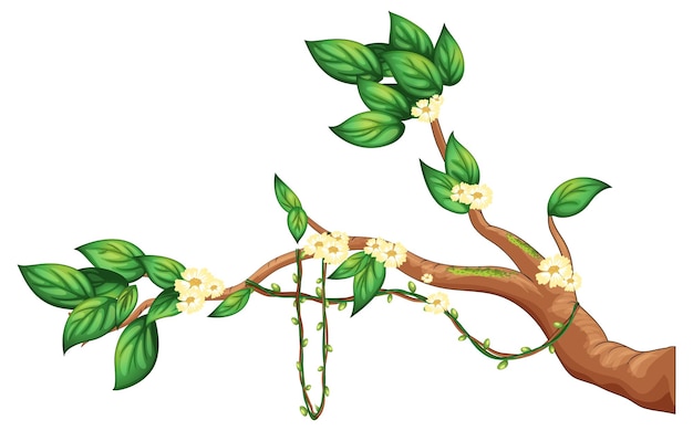 Free Vector cherry blossom branch isolated