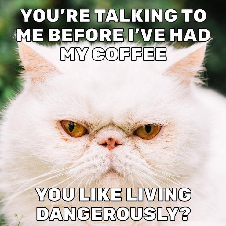 Free Vector coffee drama meme