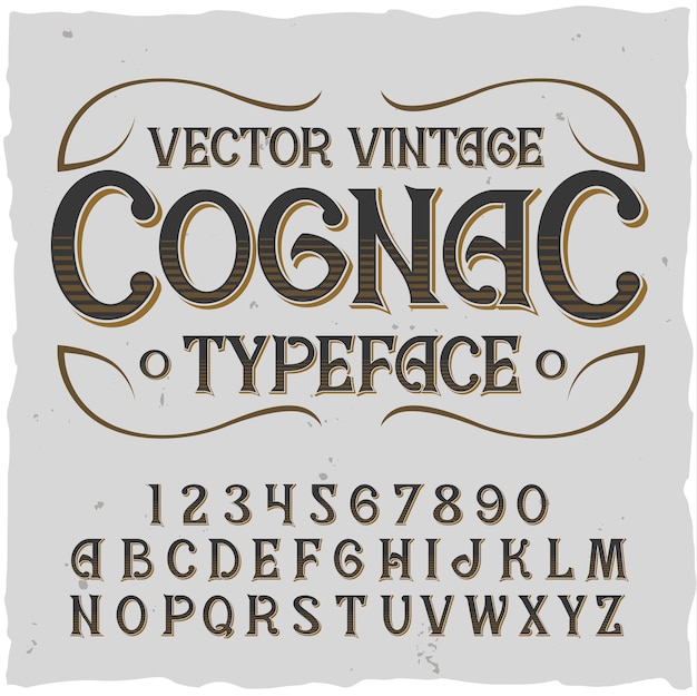 Free Vector cognac alphabet with square frame and vintage typeface with lines digits and letters