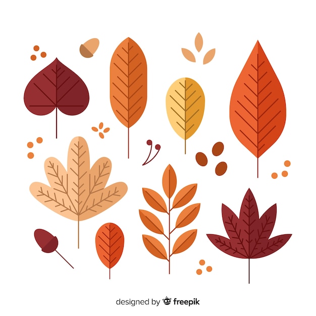 Free Vector collection of autumn leaves flat design