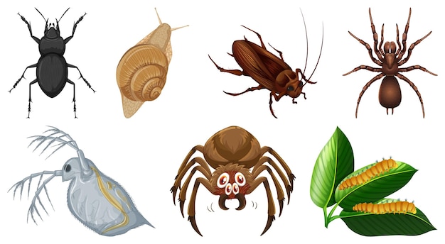 Free Vector collection of different insects vector