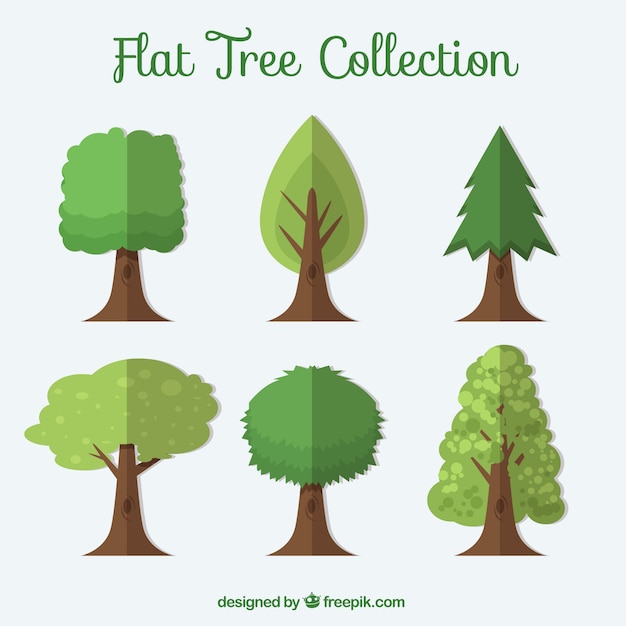 Free Vector collection of flat trees