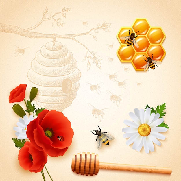 Free Vector colored honey composition
