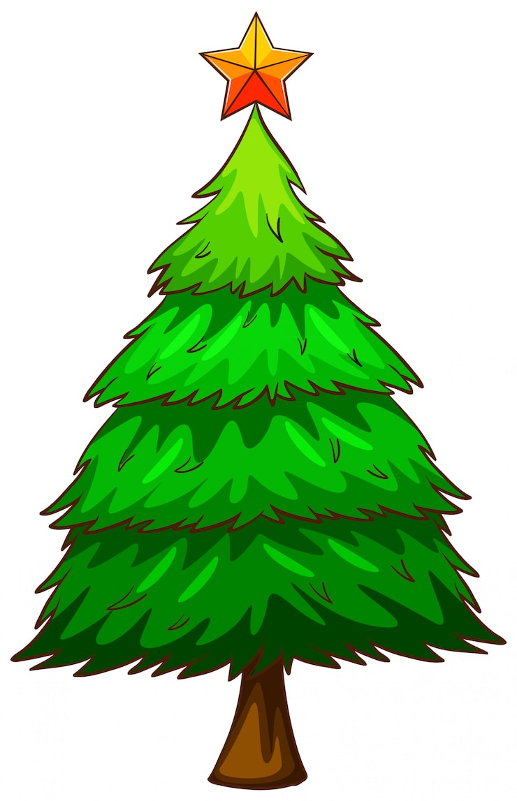 Free Vector a coloured sketch of a pine tree
