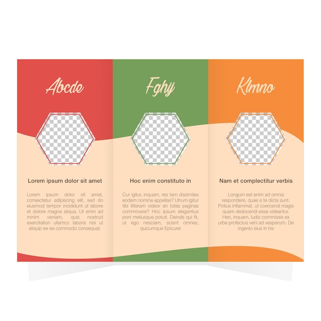 Free Vector coloured trifold template