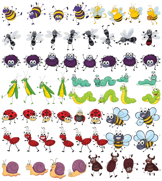 Free Vector different kind of small insects