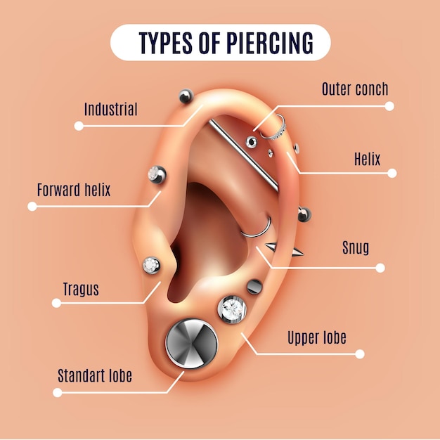 Free Vector different types of ear piercing realistic poster with infographic elements vector illustration
