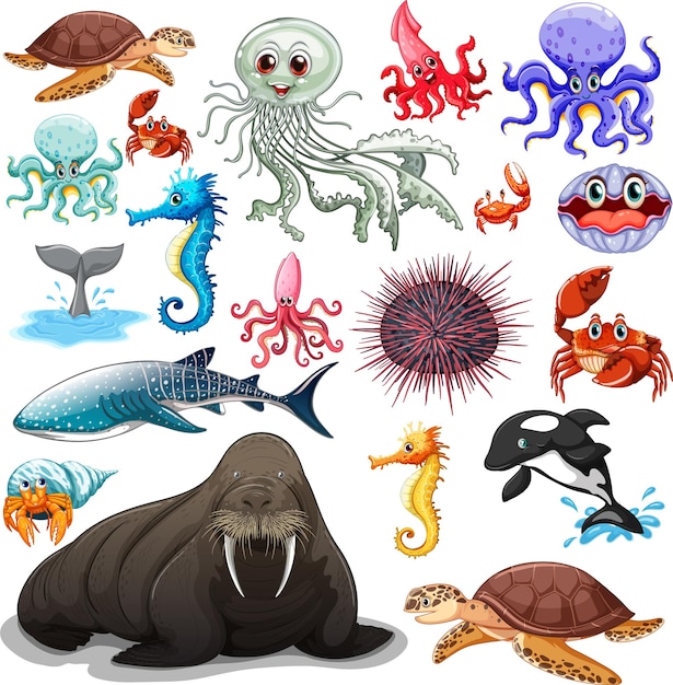 Free Vector different types of sea animals