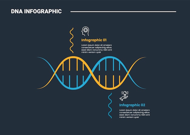 Free Vector dna science helix infographic process diagram with horizontal shape with up and down comparison with dark background bright outline style 2 points