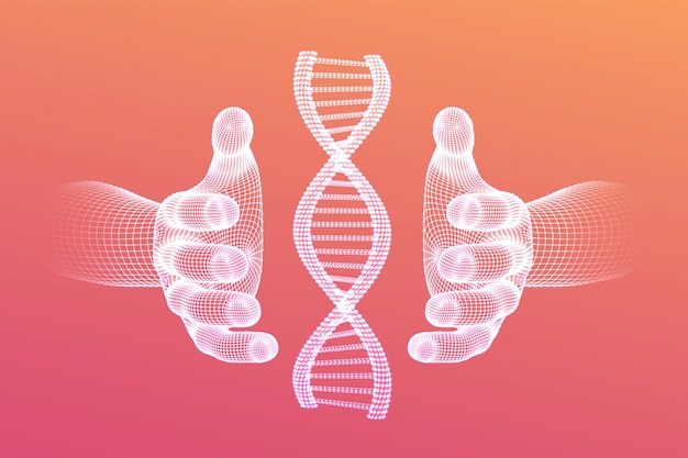 Free Vector dna sequence in hands. wireframe dna code molecules structure mesh.