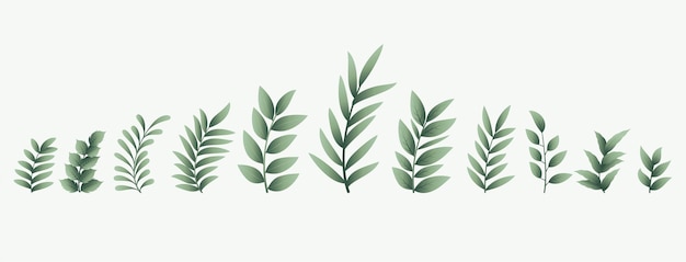Free Vector ecofriendly decorative and fresh leave background in set