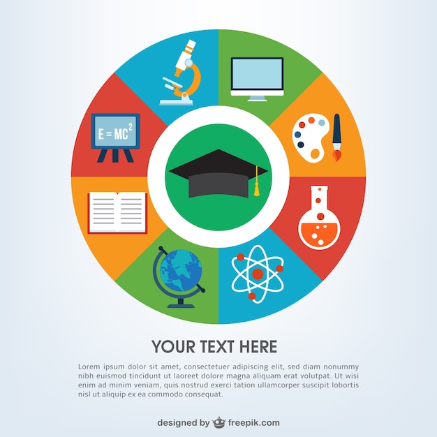 Free Vector education infographic