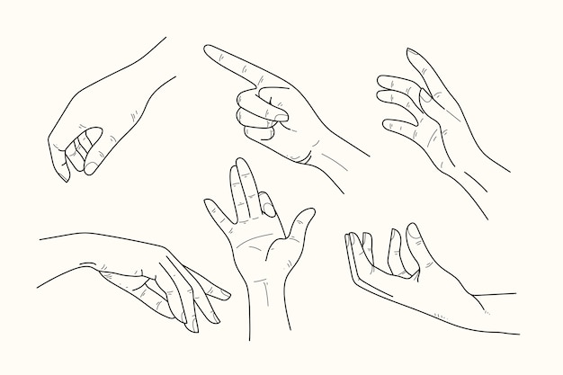 Free Vector elegant line art hands stickers