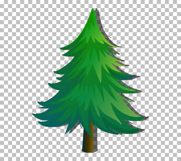 Free Vector an evergreen tree on transparent background