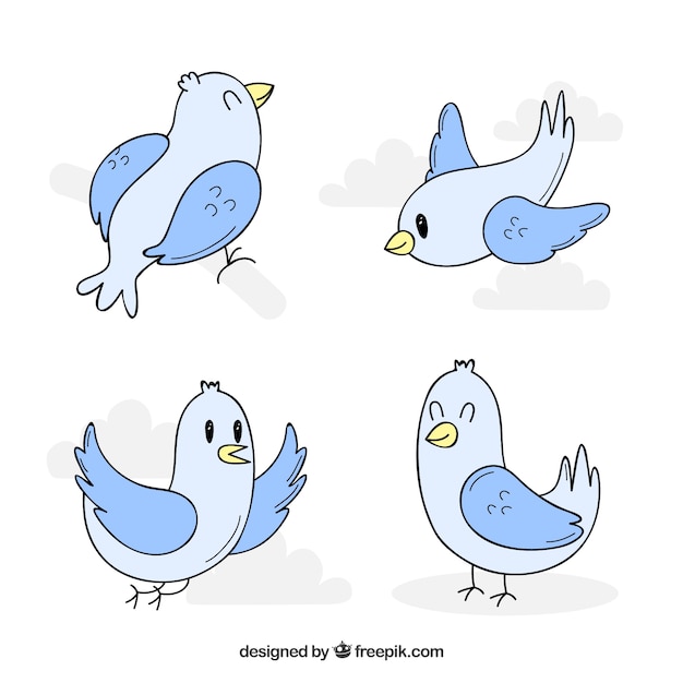 Free Vector flat bird collection