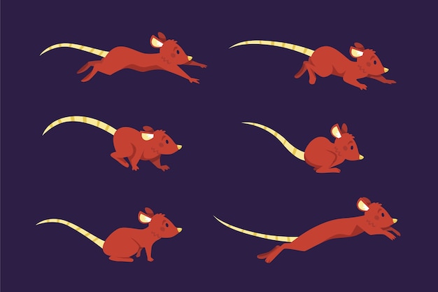 Free Vector flat design animation frames element collection