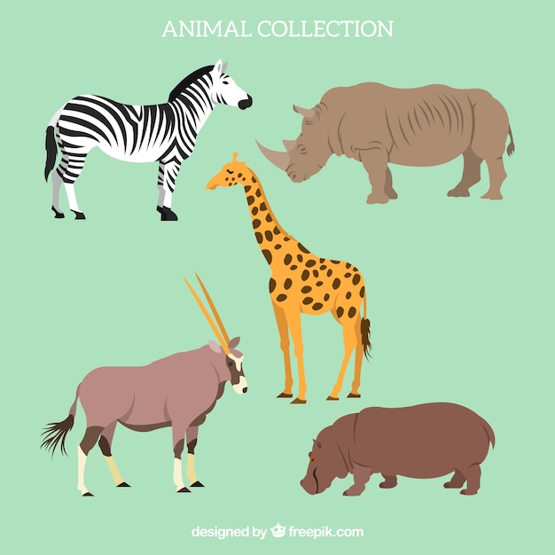 Free Vector flat set of african animals