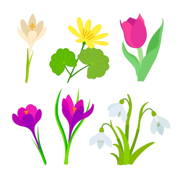 Free Vector flat style spring flower collection