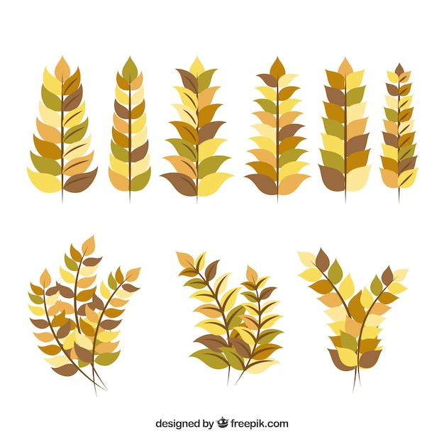 Free Vector flat wheat collection