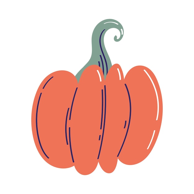 Free Vector fresh pumpkin vegetable