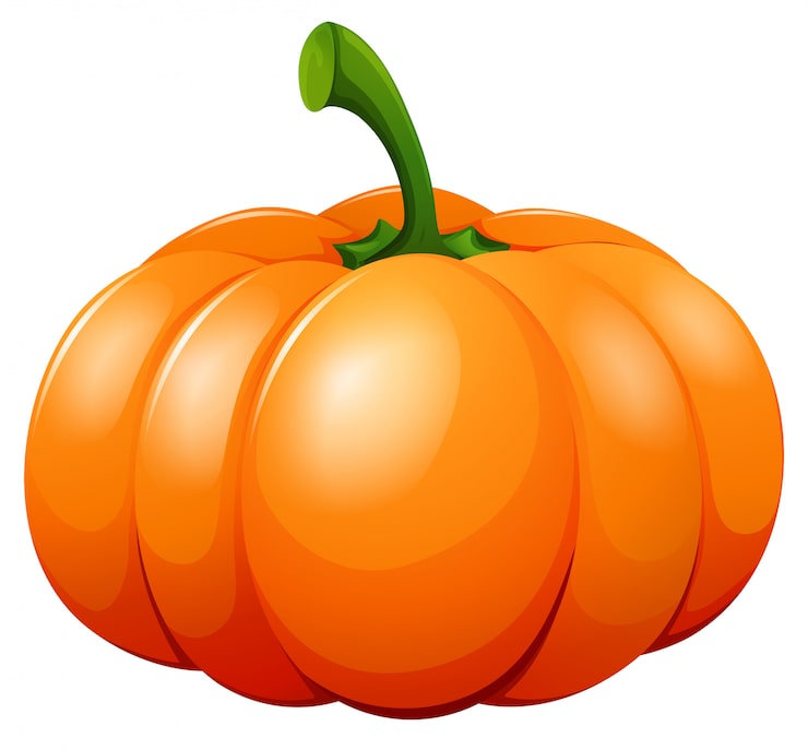 Free Vector fresh pumpkin on white b