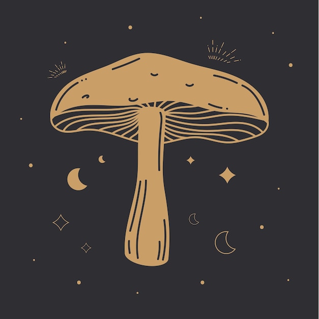 Free Vector fungus plant alchemy sketch
