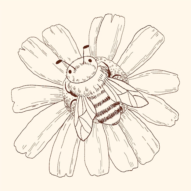 Free Vector hand drawn bee outline illustration