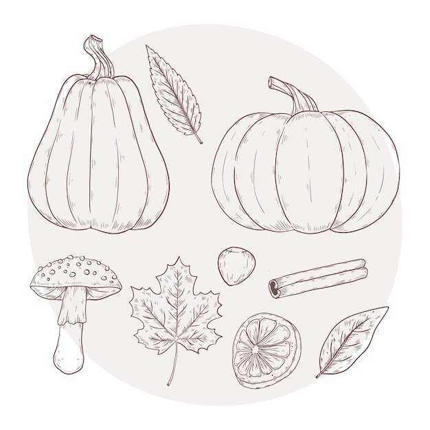 Free Vector hand drawn elements collection for autumn